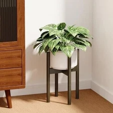 Adjustable Plant Stand Indoor, Bamboo Plant Holder 8 to 17 Inches,( 3 PACK)