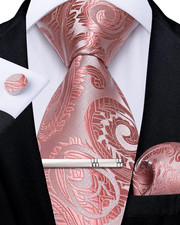 Paisley Ties for Men Silk Necktie and Pocket Square Cufflinks Tie Clip Set Woven