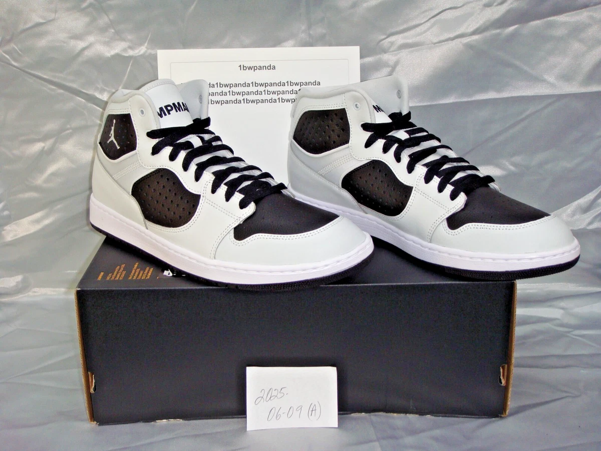 ジョーダンアクセス Size 11 - Air Jordan Access White for sale online | eBay