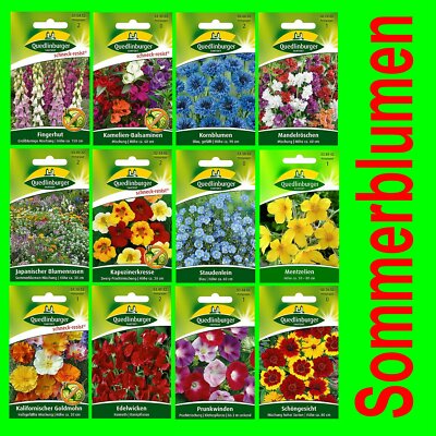 Sommerblumen Mehrjhrig Mischung Saatgut Bienenweide Blumenwiese  Balkonmischung | eBay.de