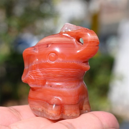 2'' Red agate Elephant hand Carved Natural Reiki Crystal sculpture Decor 1pc - Picture 8 of 14