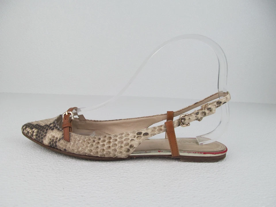 Sandalias planas Coach Woodster para mujer con estampado de serpiente punta talla 7 B Foto 2 de 4