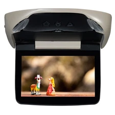 Audiovox VODA10 Overhead Entertainment System