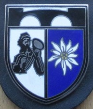 Brustanhänger Verbandsabzeichen Gebrigspionierbataillon 8 Brannenburg (E) Zinn w