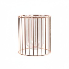 Metal Frame Hydroponic Vase Minimalist Design Transparent Desktop Planter
