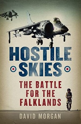 Hostile Skies by David Morgan 9780753821992 NEW Free UK Delivery