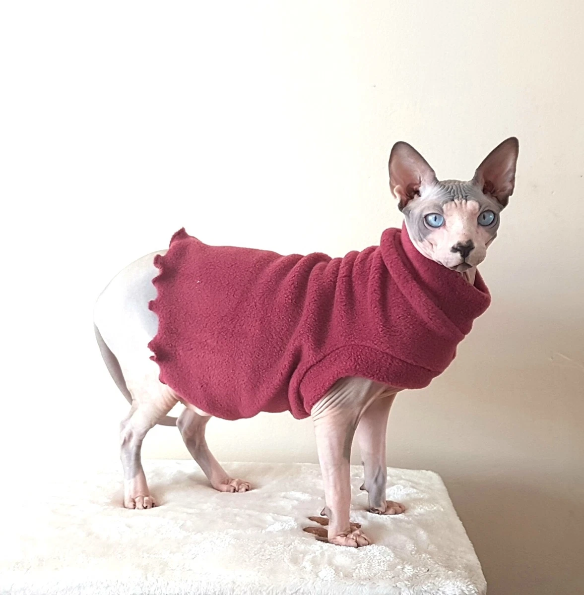 Sphynx Cat Clothes Louis Vuitton | LV Sweater for Sphynx