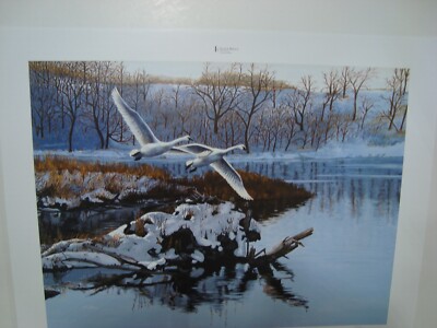 Al Stelton Late Arrival Unframed Sponsor print, S/N Ducks Unlimited
