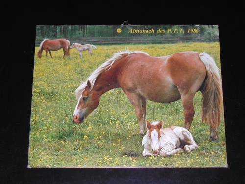 1986 PTT Horses Calendar