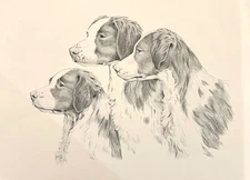 Brittany  Print By Martha Van Loan 14 x 19  signed and numbered