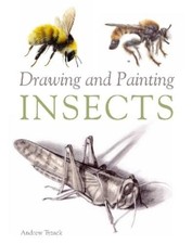 Andrew Tyzack Drawing and Painting Insects (Paperback) (UK IMPORT)