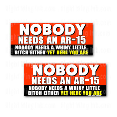 Nobody Needs an AR-15 - But Here you are Funny Stickers Decals 2 PK 8'' wide