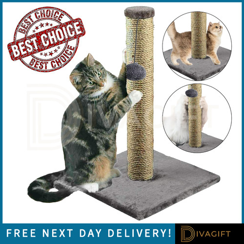 CAT SCRATCHING POST SCRATCH POST KITTEN CAT TREE SCRATCHER SISAL POLE NEW 40CM