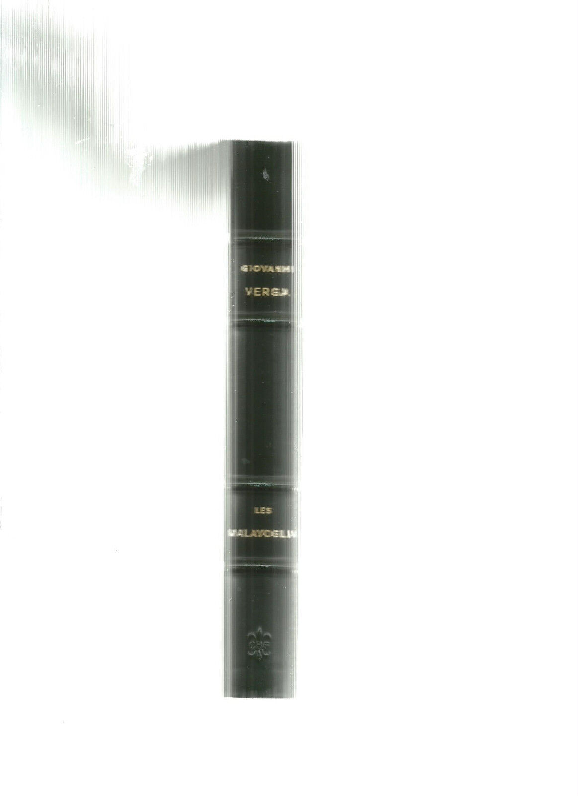 Foto 2 di 2