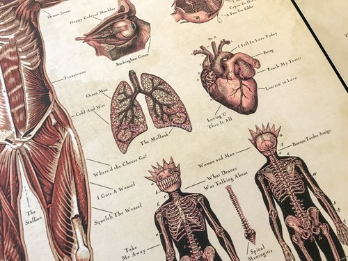 Emek WEEN Atlanta Transdermal Celebration Chart #/100 Gig Art Print Poster Set - Picture 5 of 13