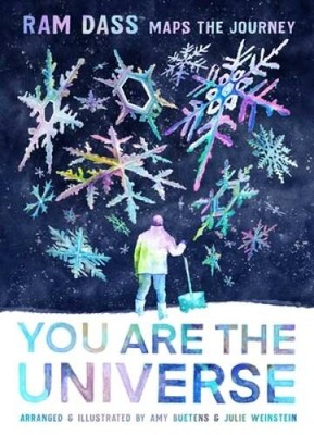 You Are the Universe: Ram Dass Maps the Journey (Be Here Now YA Graphic  - GOOD