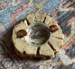 Vintage Handmade Grand Canyon Souvenir Ashtray Cholla Cactus Curios Co. Arizona
