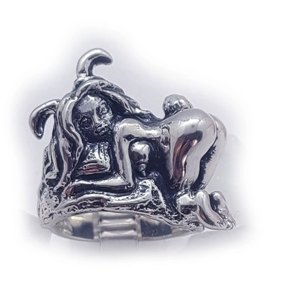Sexy Ring Hasenmädchen Silber