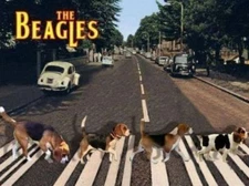 Funny Dog Beagles Crossing Road Refrigerator / Magnet Gift Card Insert