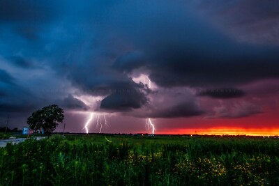 Storm Photography Print - Picture of Lightning and Firefly in Oklahoma