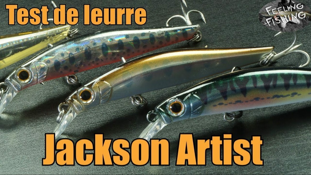 Leurre Jackson Artist FR 55 – Couleur CGP – Pêche En Mer – Silencieux