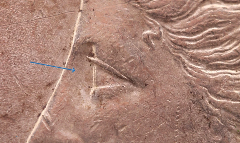 1887 $1 NGC AU 58 CAC VAM 12A "Dbl LIBERTY & Alligator Eye" (TOP 100) - Image 2 of 4