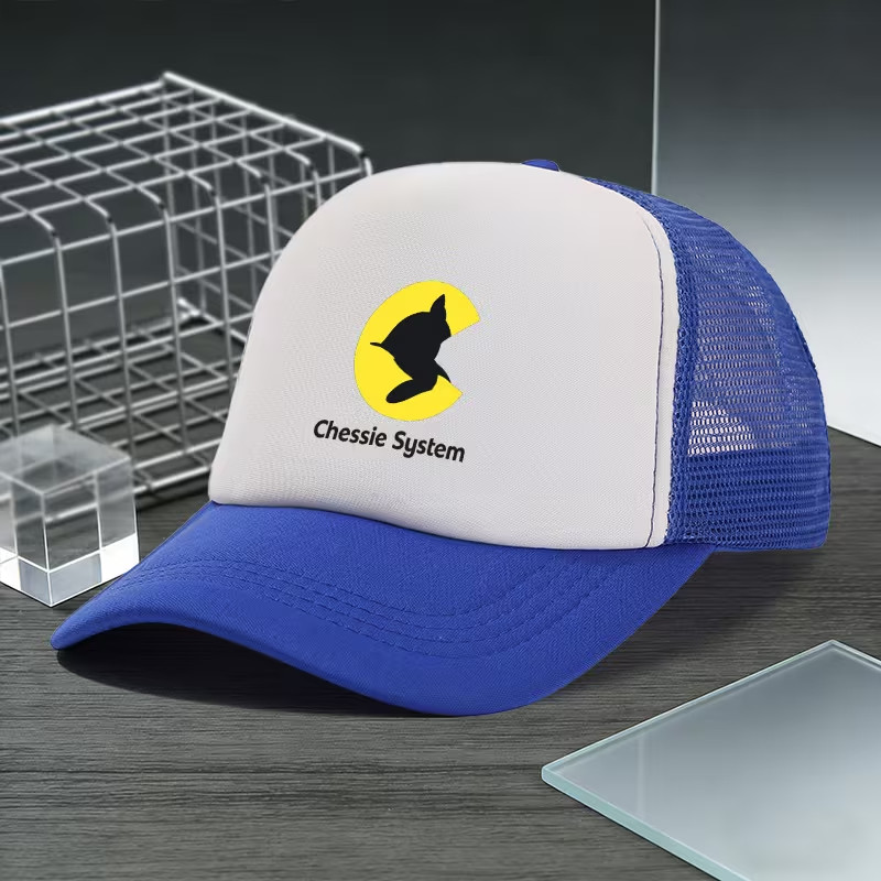 CHESSIE SYSTEM Train / RAILROAD  HAT- BRAND NEW!!!