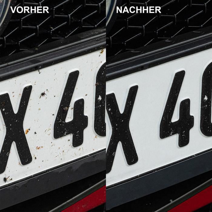Bild 5 von 12