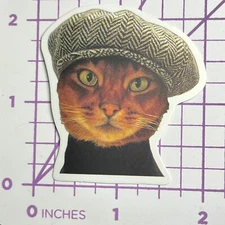 NEWSIES Costume Kitty Cat - Vinyl Sticker Decal Sticker Bomb Humor Funny