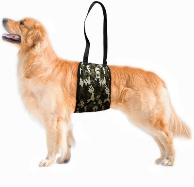 small dog lift harness