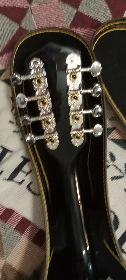 J Reynolds Mandolin  JRMAN 30 with case, pick - Image 4 of 4