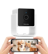 petcube cam 1080p HD Wi-Fi pet cam petcam smart camera 854592007394