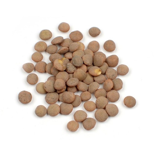 Bulk Dried Lentils Bagged 10 lbs Pounds - Picture 7 of 7