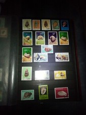 Coquillages mer escargots timbres timbres sellos stamps