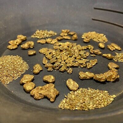 Gold Paydirt BIG BONANZA Unsearched Guaranteed Gold Panning Pay Dirt Nugget  Bag 