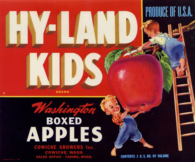 Antique HY-LAND Kids Apple Fruit Crate Label Cowiche Growers Yakima WA Apples