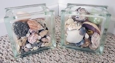 Seashells in 2 Thick Square Glass Vases Beach Ocean Nautical Decor 5.75" Tall