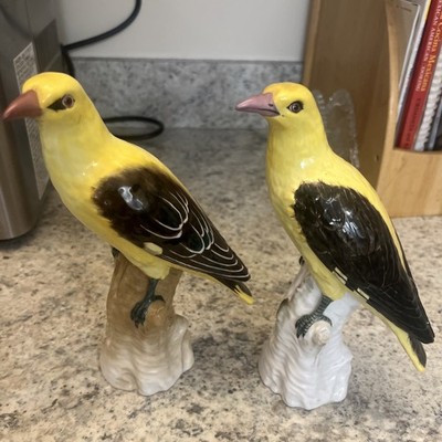 Pair of KPM Berlin Oriole Bird Porcelain Figure Figurine Porzellan Vogel Figur