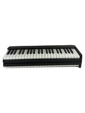 Other Brands Electronic Pianos Used
