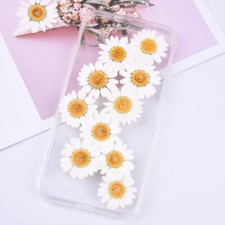 12PCS Real Pressed Dry flower, white daisy flower for art, candle, craft FCD27