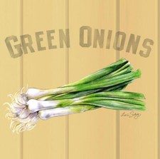 Ceramic Backsplash Tile Mural Fruit Vegetable Kitchen/Bathroom - Green Onions