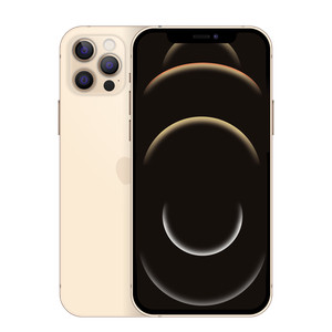 Iphone 12 pro Gold 128GB | eBay.de