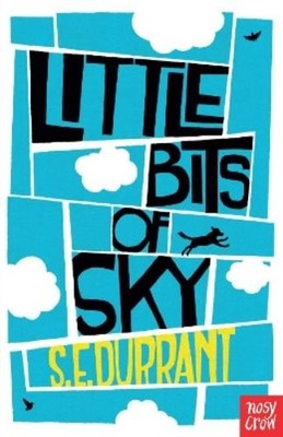 S. E. Durrant Little Bits of Sky (Taschenbuch)