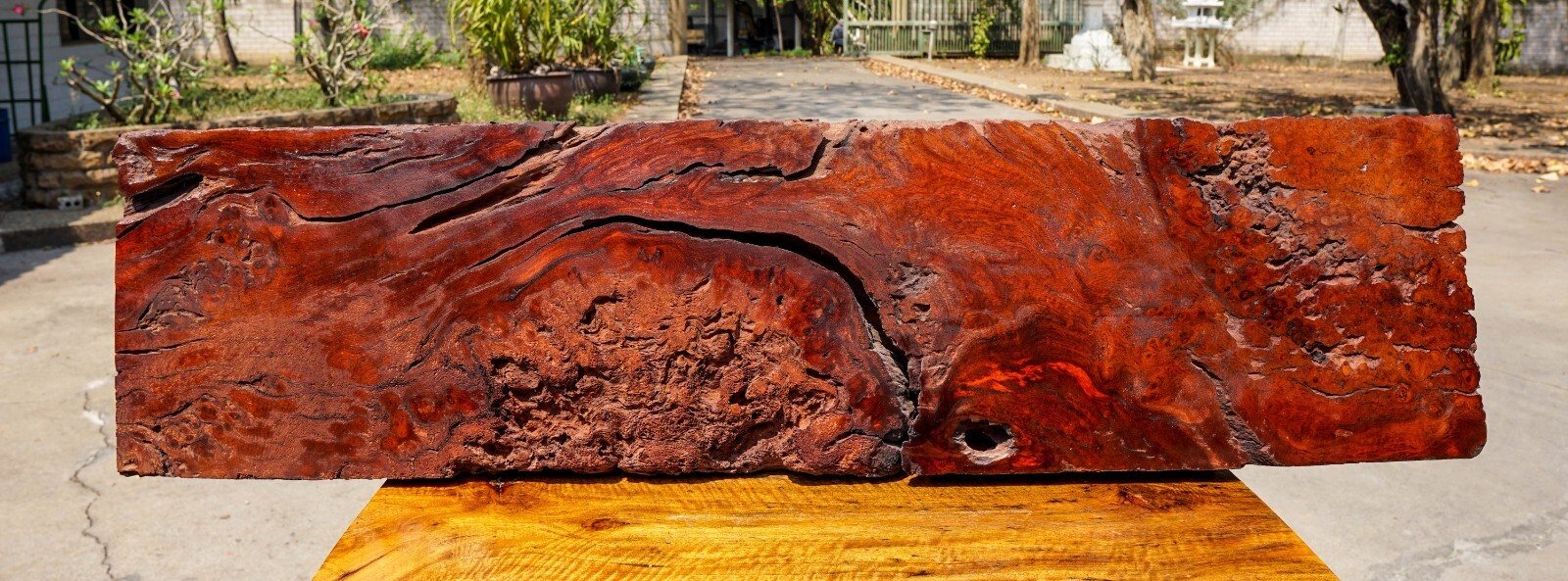 AMBOYNA BURL LUMBER Live Edge Natural Slab Wood Resin Epoxy Table Top DIY !-image