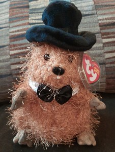 groundhog beanie baby