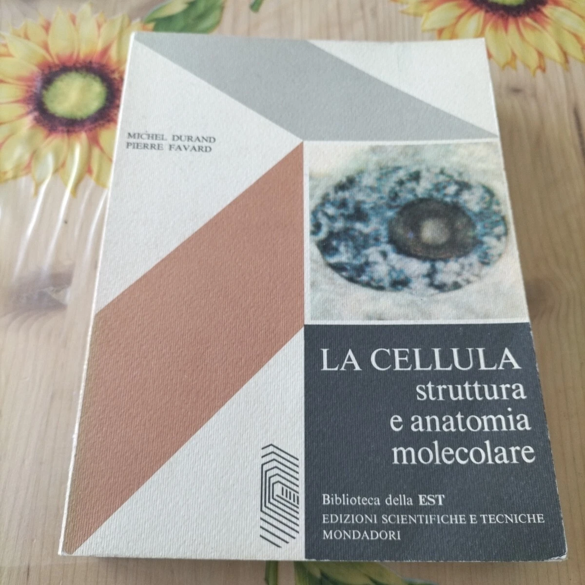 Foto 7 di 11