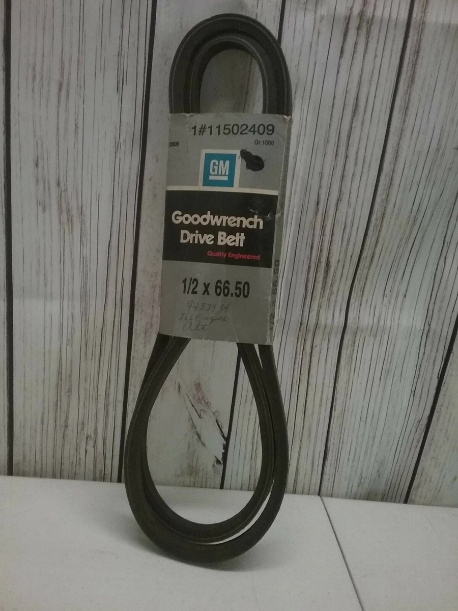 GM Drive Belt 11502409 | eBay