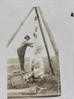 RPPC Postcard Man Butchering A Large Animal Using A Tripod And Hoist — photo 4