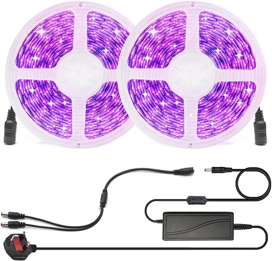 Black 2024 light strips