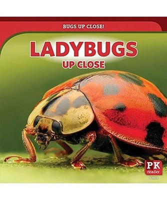Ladybugs Up Close, Shea, Therese M.